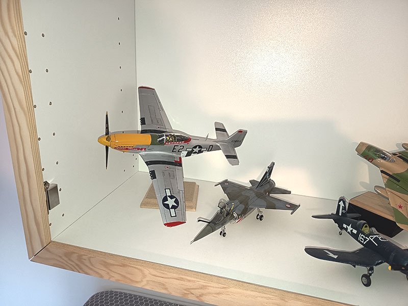 Wall display case